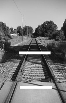Black and white image of a straight railway track extending into the distance, flanked by grass and trees. The sky is clear, and a few utility poles run alongside the tracks. There is a white bar in the foreground and another one in the middleground. They appear to be of different size, while in reality they are of the same size. This illustrates the concept of the ponzo deception.