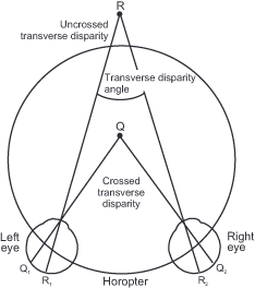 Diagram illustrating the concept of visual disparity. It shows crossed and uncrossed transverse disparities between points Q, R, and eyes labeled as left and right. The horopter and transverse disparity angle are also marked. It is an illustration of how our stereoscopic vision works.