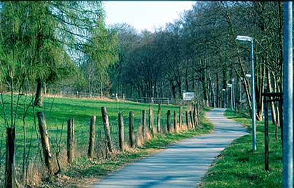 A narrow paved path winds through a park with grass and trees on either side. Wooden posts and wire fencing run alongside the path, which is lined with lamp posts. The sky is clear, suggesting a sunny day. The wooden boundary posts on the left are all of almost the same size but they recede in the distance and this is an illustration of our perception of spatial depth.