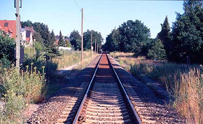 Railroad tracks stretch into the distance on a sunny day, flanked by tall grass and trees. Houses are visible on the left, and power lines run alongside the track. The tracks recede in the distance anddo not look parallel anymore and this is an illustration of how we perceive spatial depth.