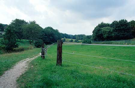 A grassy landscape with a narrow dirt path on the left, lined by wooden posts and wire fencing. Dense trees border the open field on the right under a partly cloudy sky.