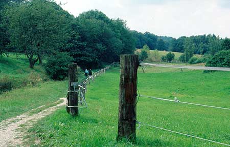 A grassy landscape with a narrow dirt path on the left, lined by wooden posts and wire fencing. Dense trees border the open field on the right under a partly cloudy sky.