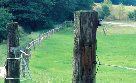 A grassy landscape with a narrow dirt path on the left, lined by wooden posts and wire fencing. Dense trees border the open field on the right under a partly cloudy sky.