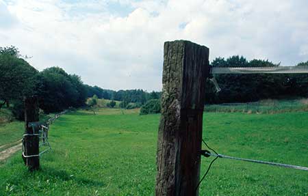 A grassy landscape with a narrow dirt path on the left, lined by wooden posts and wire fencing. Dense trees border the open field on the right under a partly cloudy sky.