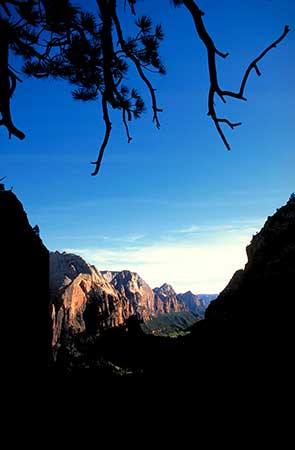 View of a mountainous landscape in Zion Canyon under a clear blue sky, framed by silhouetted tree branches at the top. Sunlit rocky cliffs are visible on the left and right, creating a valley-like scene. It is an example of an image that uses clearly recognizable planes to create spatial depth.