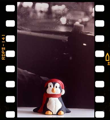 A small penguin figurine wearing a red hat and scarf sits in front of a blurred black and white background. The photo is framed with a film strip border.