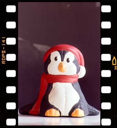 A small penguin figurine wearing a red hat and scarf sits in front of a blurred black and white background. The photo is framed with a film strip border.