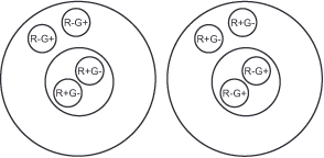 Diagram of two large overlapping circles, each containing three smaller circles. Labels in the smaller circles read R-G, R+G+, R+G, and R-G+. The arrangement varies between the two larger circles.