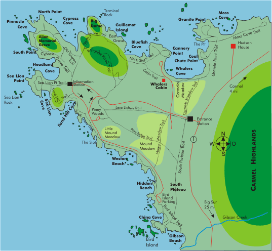 Line drawn map of Point Lobos