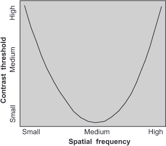 A U-shaped graph with contrast threshold on the vertical axis and spatial frequency on the horizontal axis, ranging from small to high. The curve dips in the middle, indicating lower contrast threshold at medium spatial frequency.