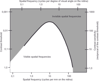 Graph showing contrast sensitivity across spatial frequencies. The y-axis represents contrast threshold, and the x-axis shows spatial frequency. A curve divides visible and invisible spatial frequencies, with visible areas highlighted in white.