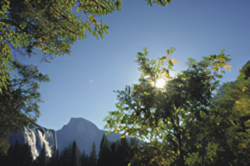 A scenic view of a meadow with a rocky cliff in the distance surrounded by evergreen trees. The sun peeks through the foliage against a clear blue sky, illuminating the lush landscape.