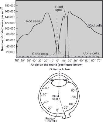 Graph showing rod and cone cell distribution across retinal angles, peaking at about 20° each side and with a blind spot at 15° nasally. Below is a diagram of the eyes cross-section, illustrating these angles and cell positions.