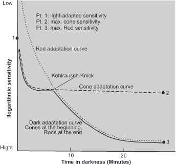 Graph showing dark adaptation over time. Y-axis: logarithmic sensitivity (low to high). X-axis: time in darkness (minutes, 0 to 30). Curves show rod and cone adaptation, with the Kohlrausch-Knick marked where sensitivity shifts from cones to rods.