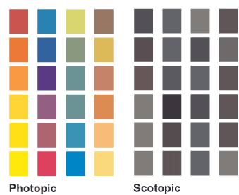 Color chart with two sections: Photopic showing bright, varied colors like orange, blue, and yellow; Scotopic displaying muted grays and dark shades. Each section has four rows of five color squares.