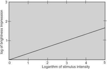 A graph with a gray background shows a line rising diagonally from the bottom-left to the top-right. The x-axis is labeled Logarithm of stimulus intensity and the y-axis is labeled Log of brightness impression.