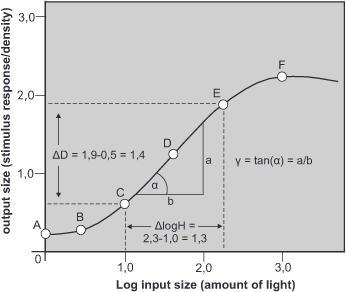 Graph showing a curve with labeled points A to F. X-axis is Log input size (amount of light) and Y-axis is output size (stimulus response/density). Includes lines and angles marked ∆D, ∆logH, α (angle), and γ, with γ = tan(c) = a/b.